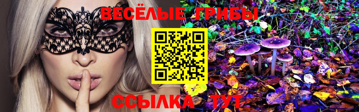 Зеленогорск  купить наркоту  Вход с VPN  Галлюциногенные грибы Psilocybe 