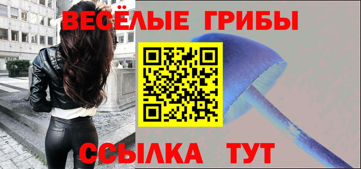 Псилоцибиновые грибы ЛСД Зеленогорск